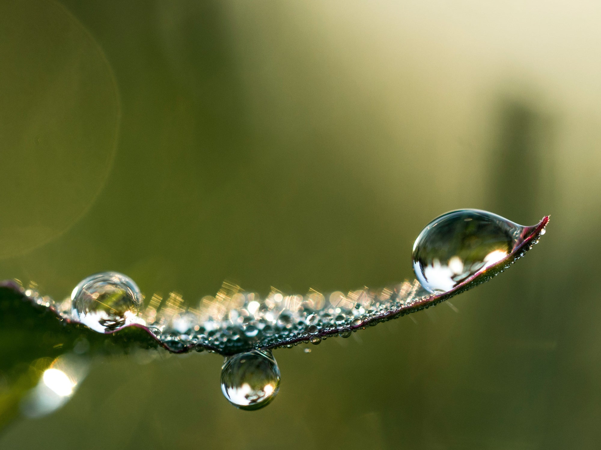 Beyond the Sip: Hydrations Next Wave of Sustainable Adventure