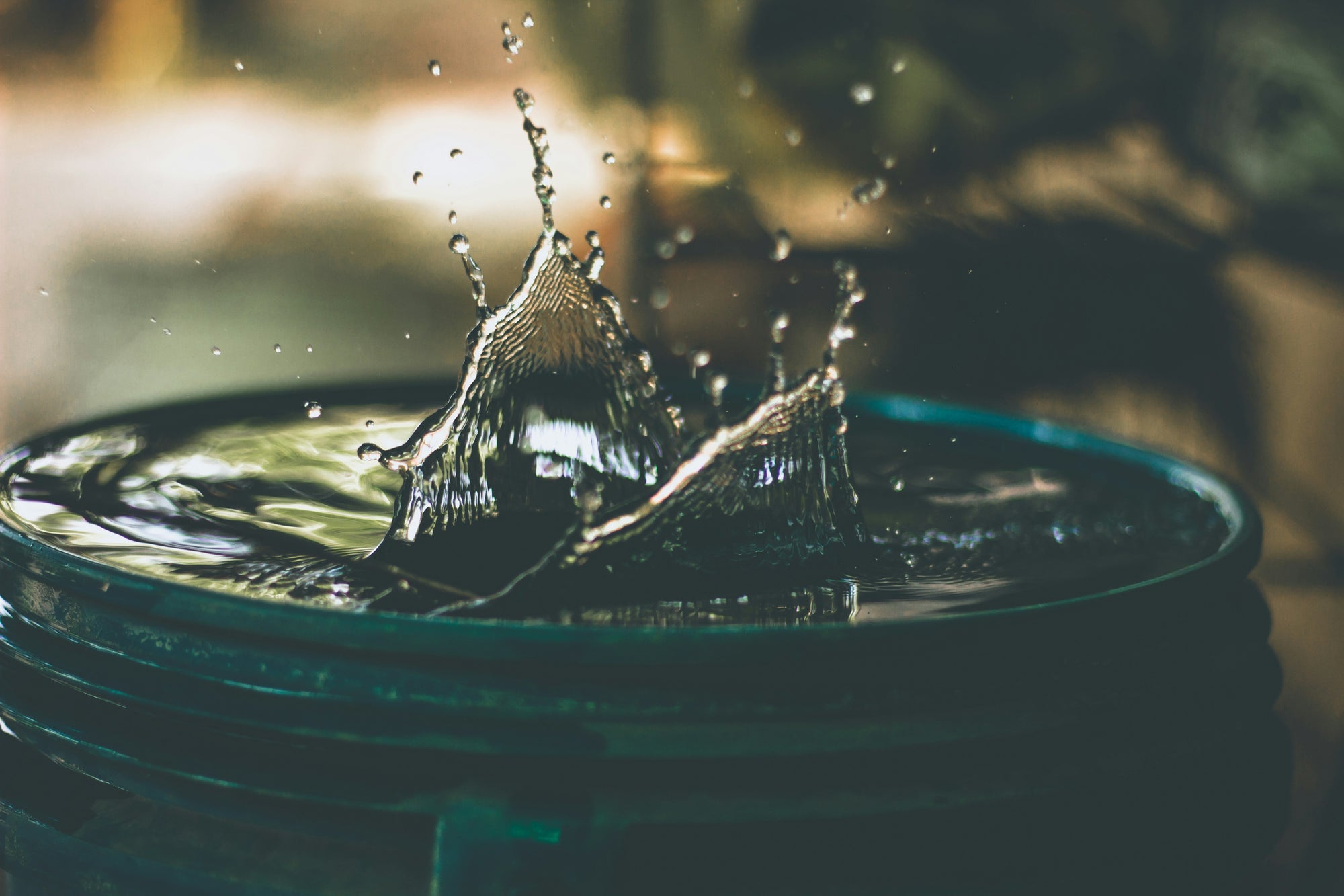 The Strength of Women and Children Carrying the Weight of Fresh Water Across the World