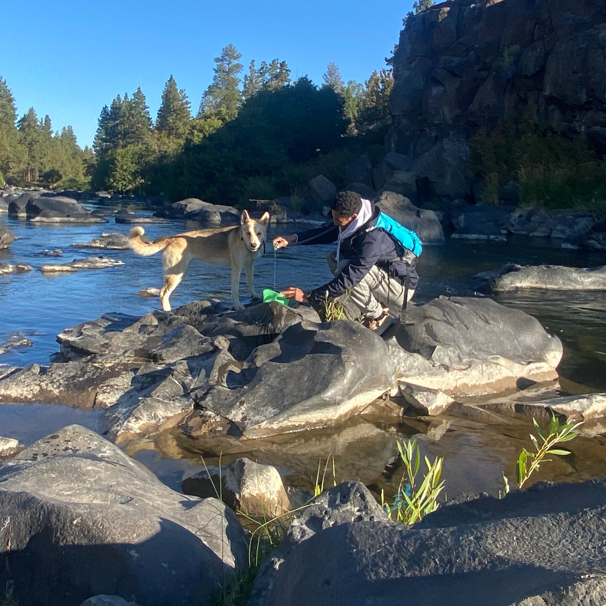 Keeping Your Dog Hydrated on the Trail