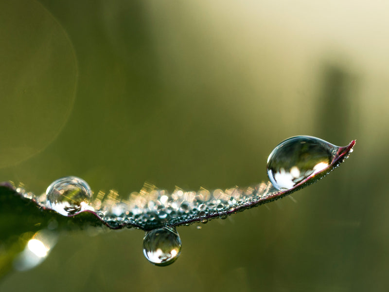 Beyond the Sip: Hydrations Next Wave of Sustainable Adventure