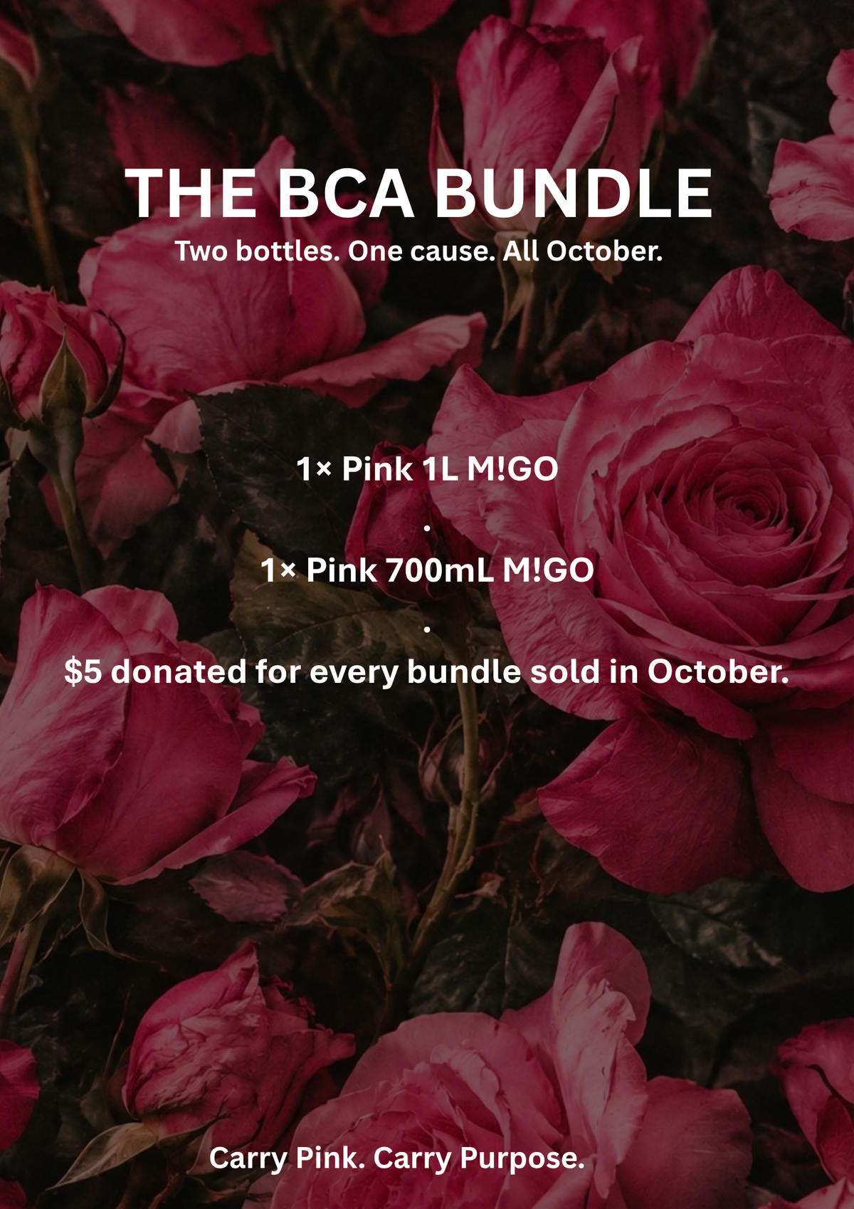 BCA BUNDLE